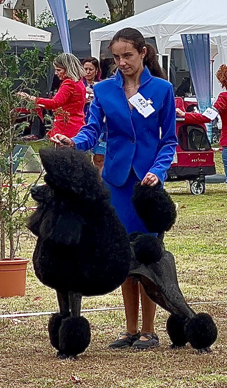 Ensayo previo al ring Ainhoa con Shangó, su caniche gigante, preparados para triunfar