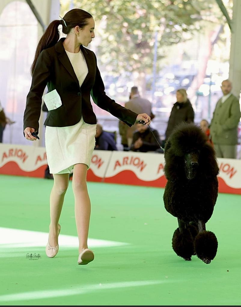 Elegancia en movimiento