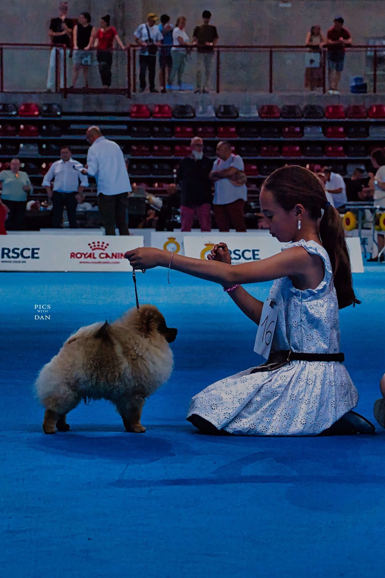 Pequeños pasos hacia un gran futuro