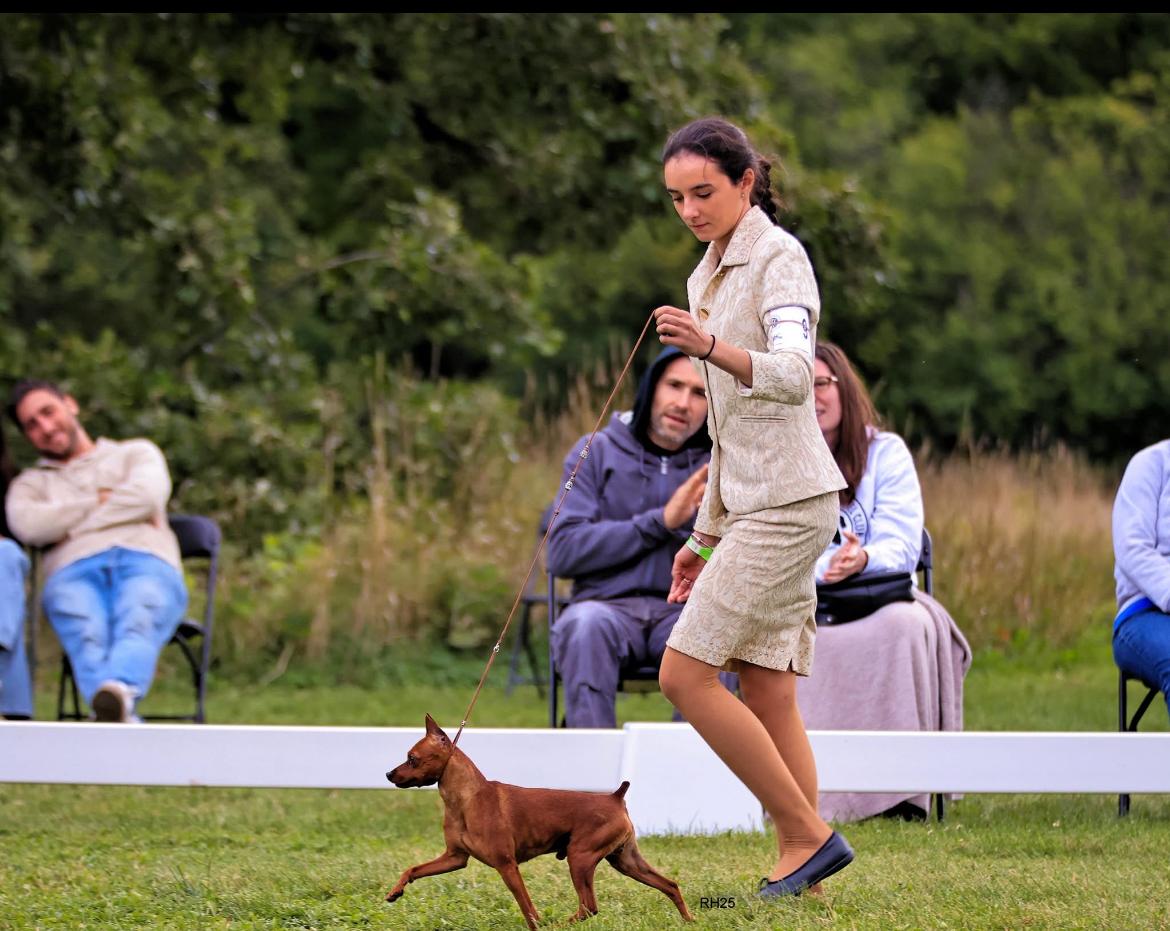 Elegancia en pequeño formato