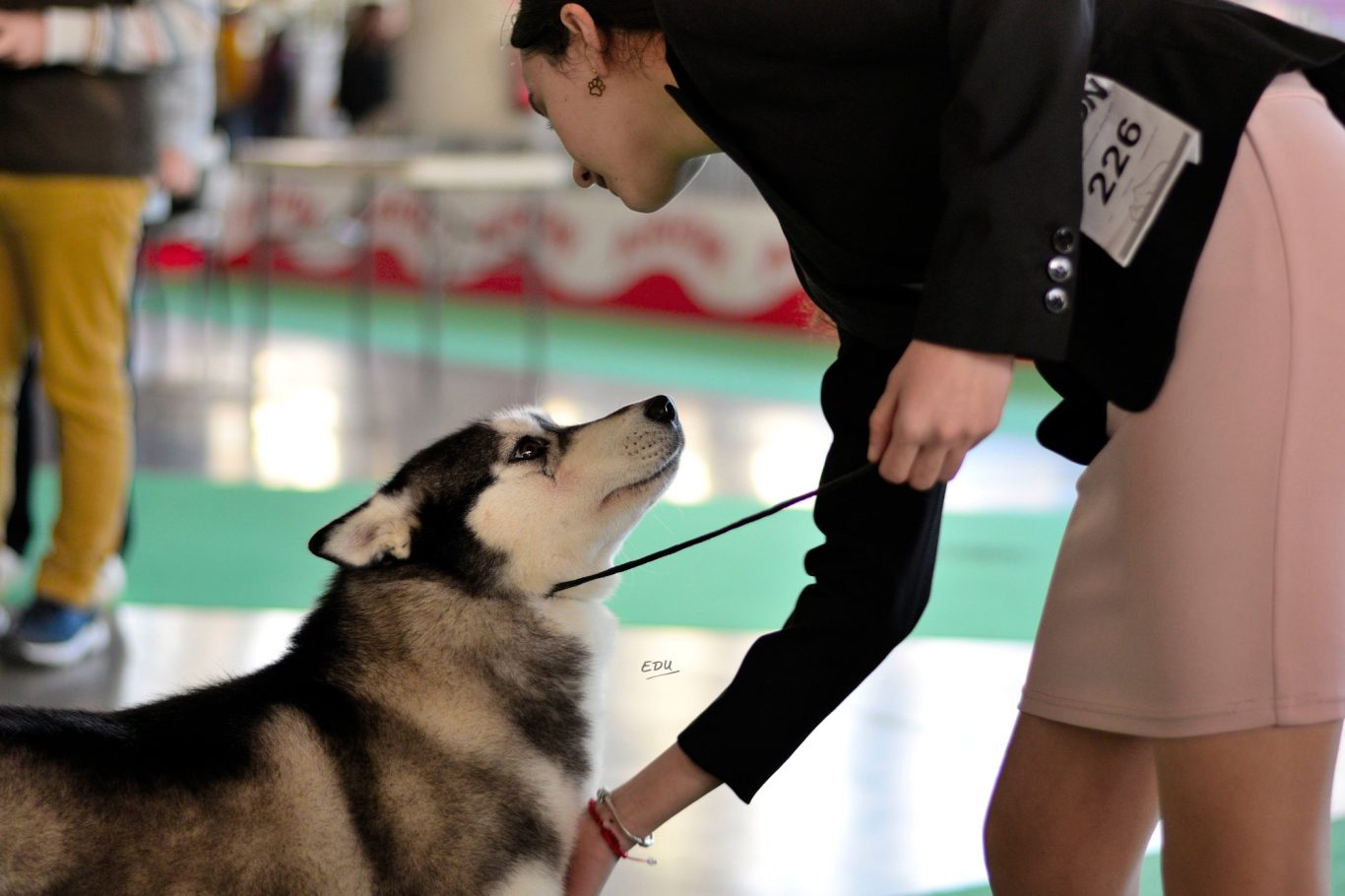 Complicidad antes del ring